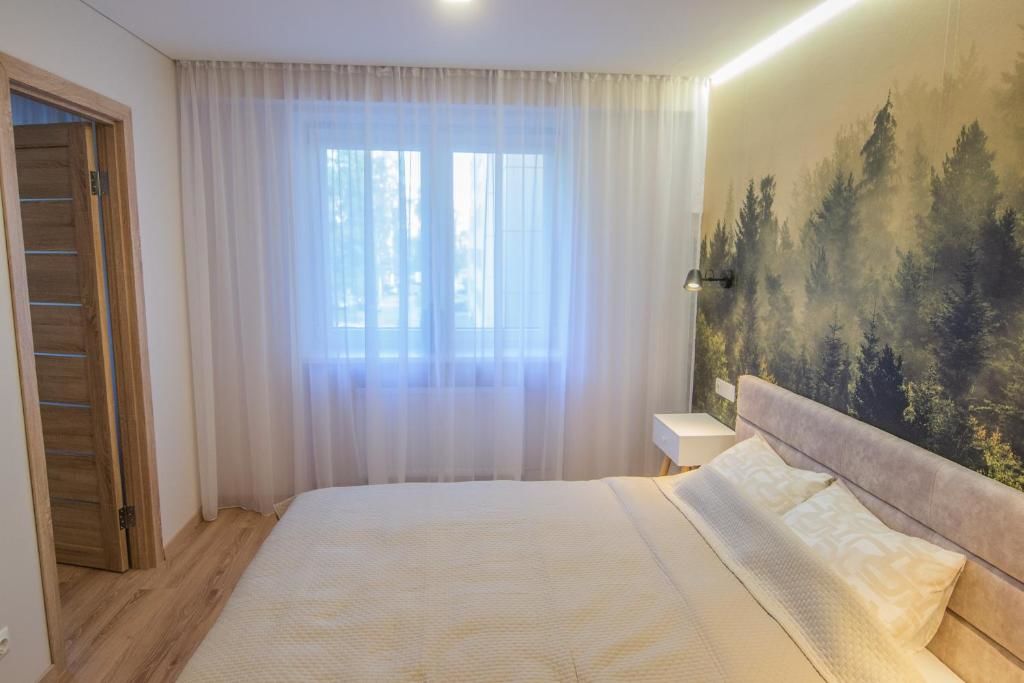 Апартаменты Central and Relaxing apartment Друскининкай-66